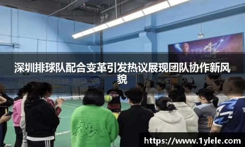 深圳排球队配合变革引发热议展现团队协作新风貌