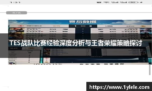 TES战队比赛经验深度分析与王者荣耀策略探讨