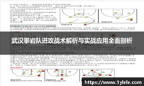 武汉攀岩队进攻战术解析与实战应用全面剖析