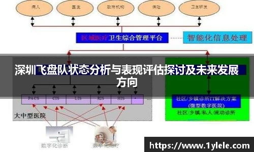 深圳飞盘队状态分析与表现评估探讨及未来发展方向