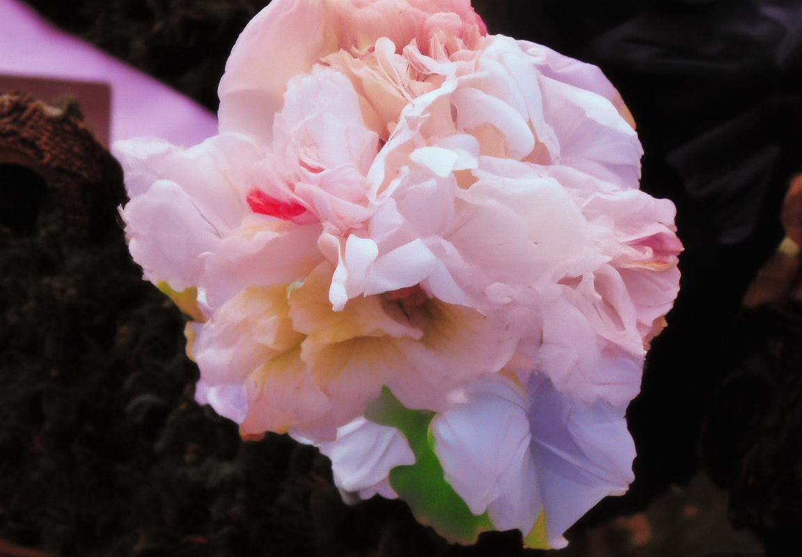 解说培养计划升级：优秀者可直接获得国际赛事解说资格